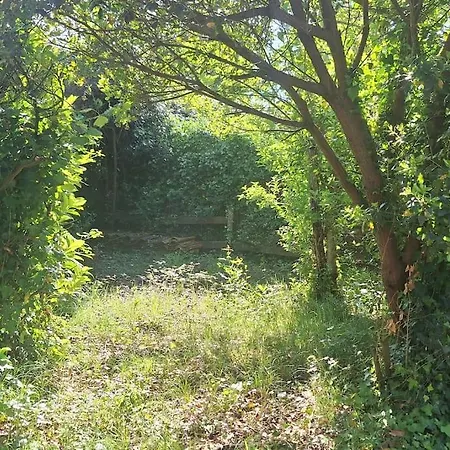 Jolie Maison Landaise Proche De L'ocean Dom wakacyjny Messanges (Landes)